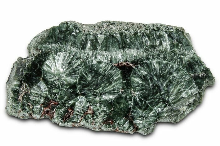 Polished Seraphinite Slab - Korshunovkiy Mine, Siberia #354278